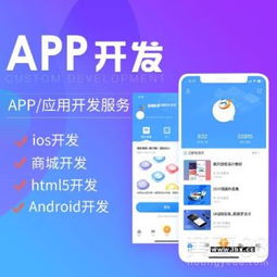 軟件開發(fā)與APP定制系統(tǒng) 技術(shù)驅(qū)動(dòng)下的創(chuàng)新解決方案